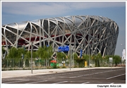 Bird's nest stadium 2